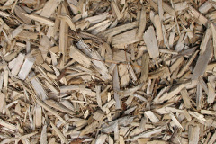 biomass boilers Zelah